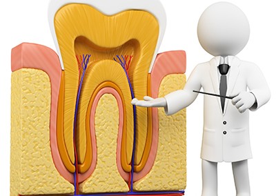 Endodonție